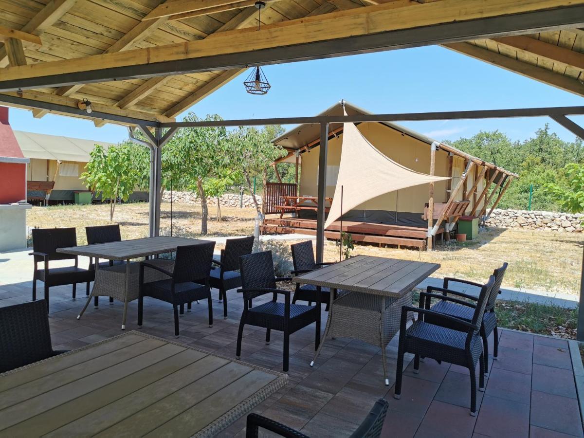 מלון ביוגראד נה מורו Grande Glamping With Pool מראה חיצוני תמונה