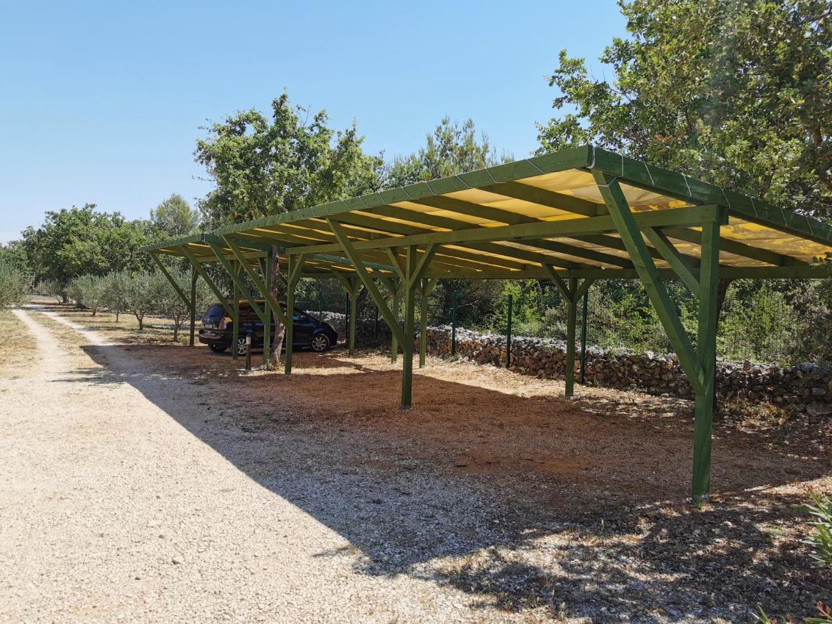 מלון ביוגראד נה מורו Grande Glamping With Pool מראה חיצוני תמונה