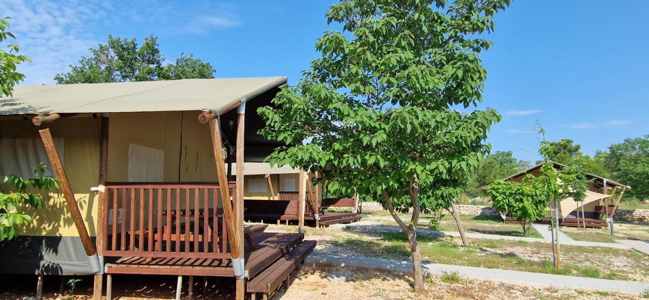 מלון ביוגראד נה מורו Grande Glamping With Pool מראה חיצוני תמונה